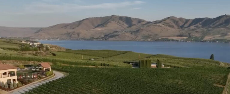 bensoncellars img 768x315