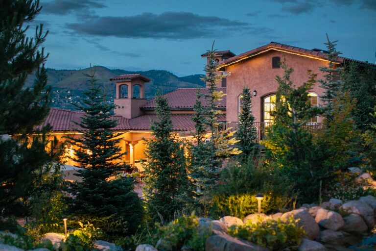home back 1 1 768x512