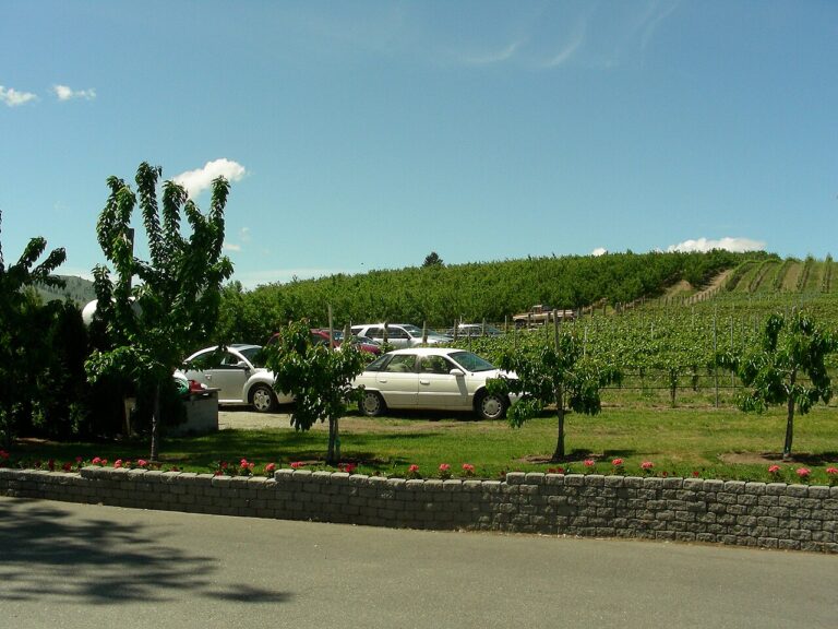 1280px Vin du Lac Orchard and Vineyard 1 768x576