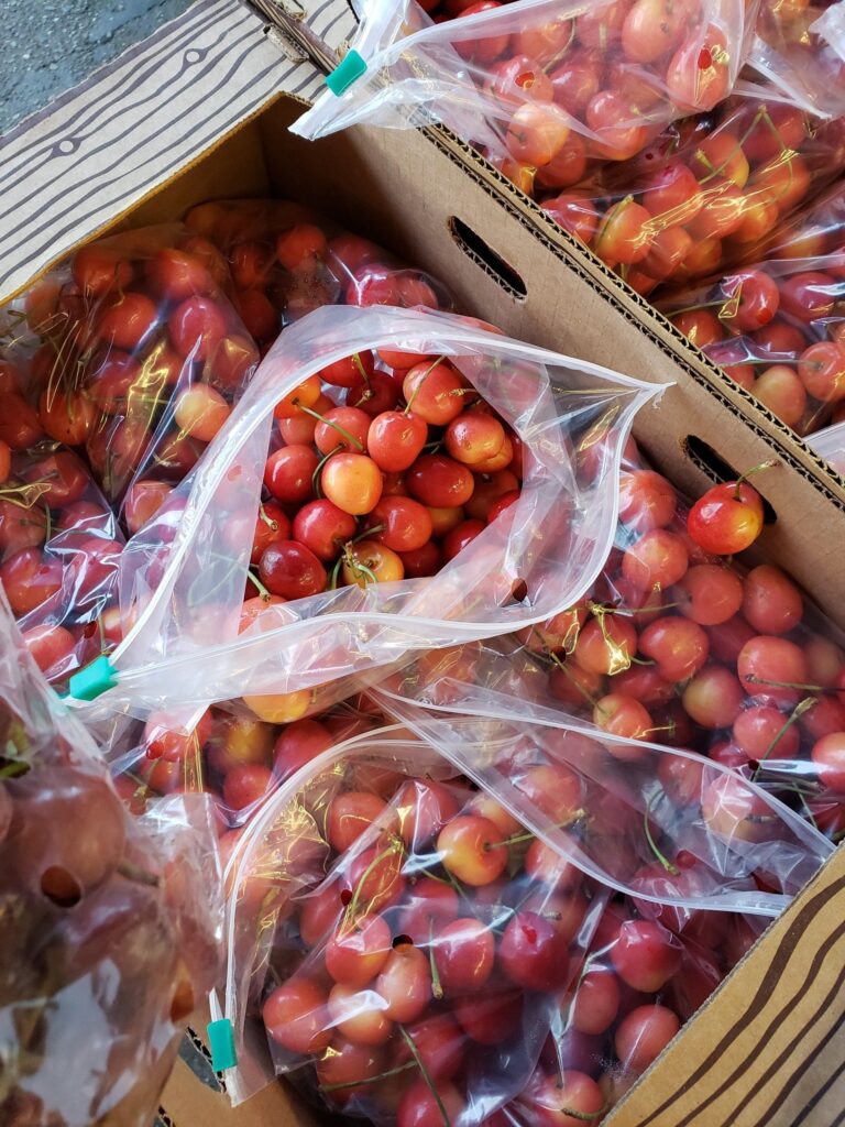 AllViewOrchardsEarlyRobinCherries 1920w 2 768x1024