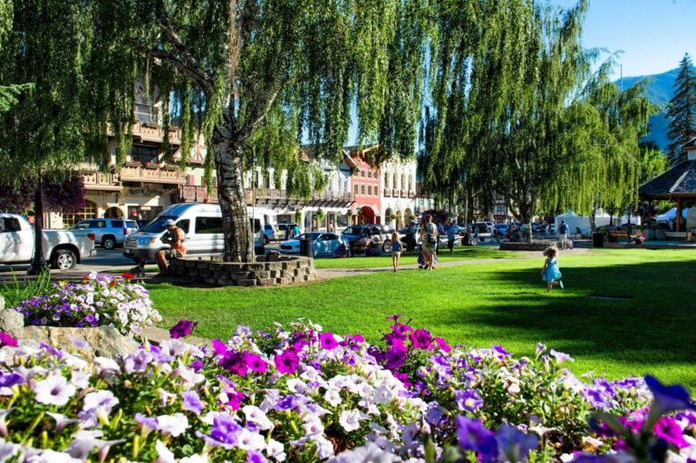 front street park 1 scaled 2 1 768x511