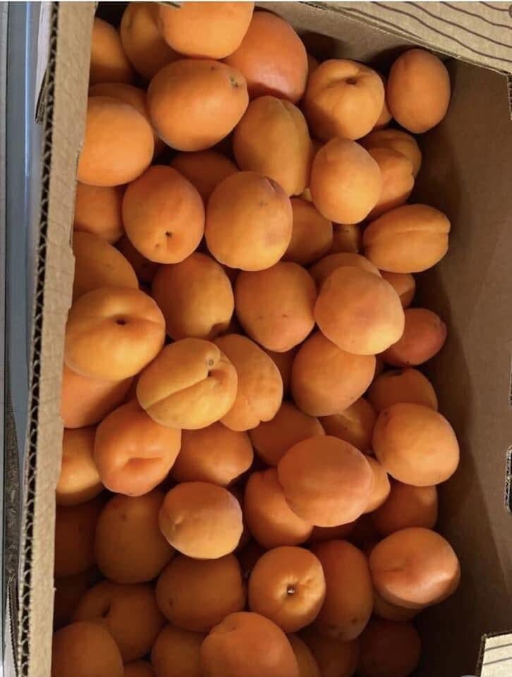 Eagle Rock Fruit Stand Eagle Rock Fruit Stand