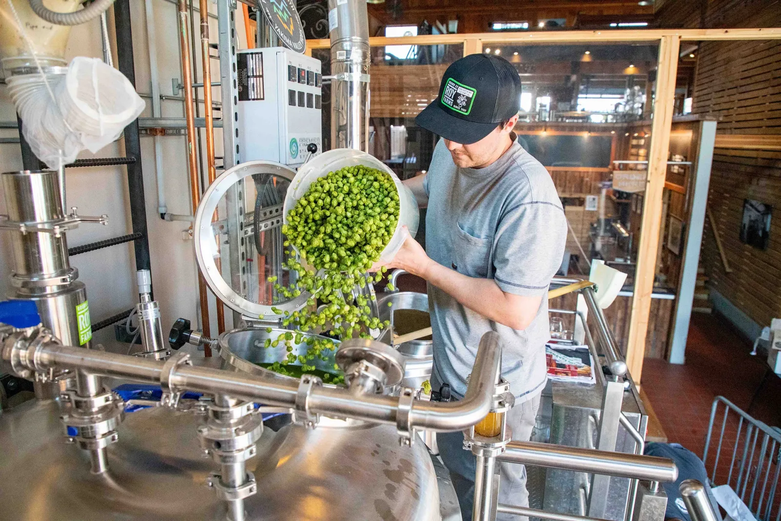 Icicle Brewing Company Icicle Brewing Company