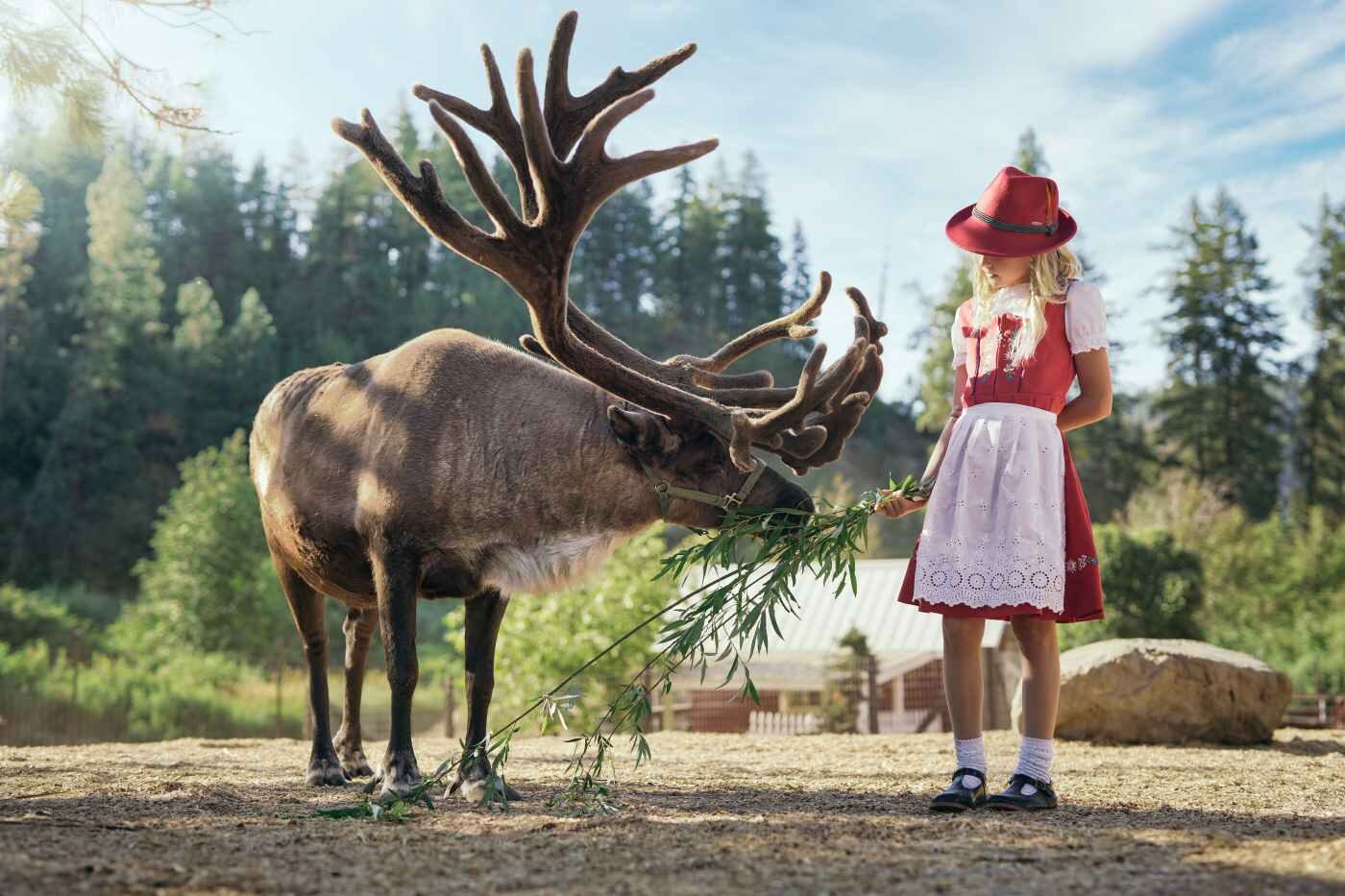 Leavenworth Reindeer Farm Leavenworth Reindeer Farm