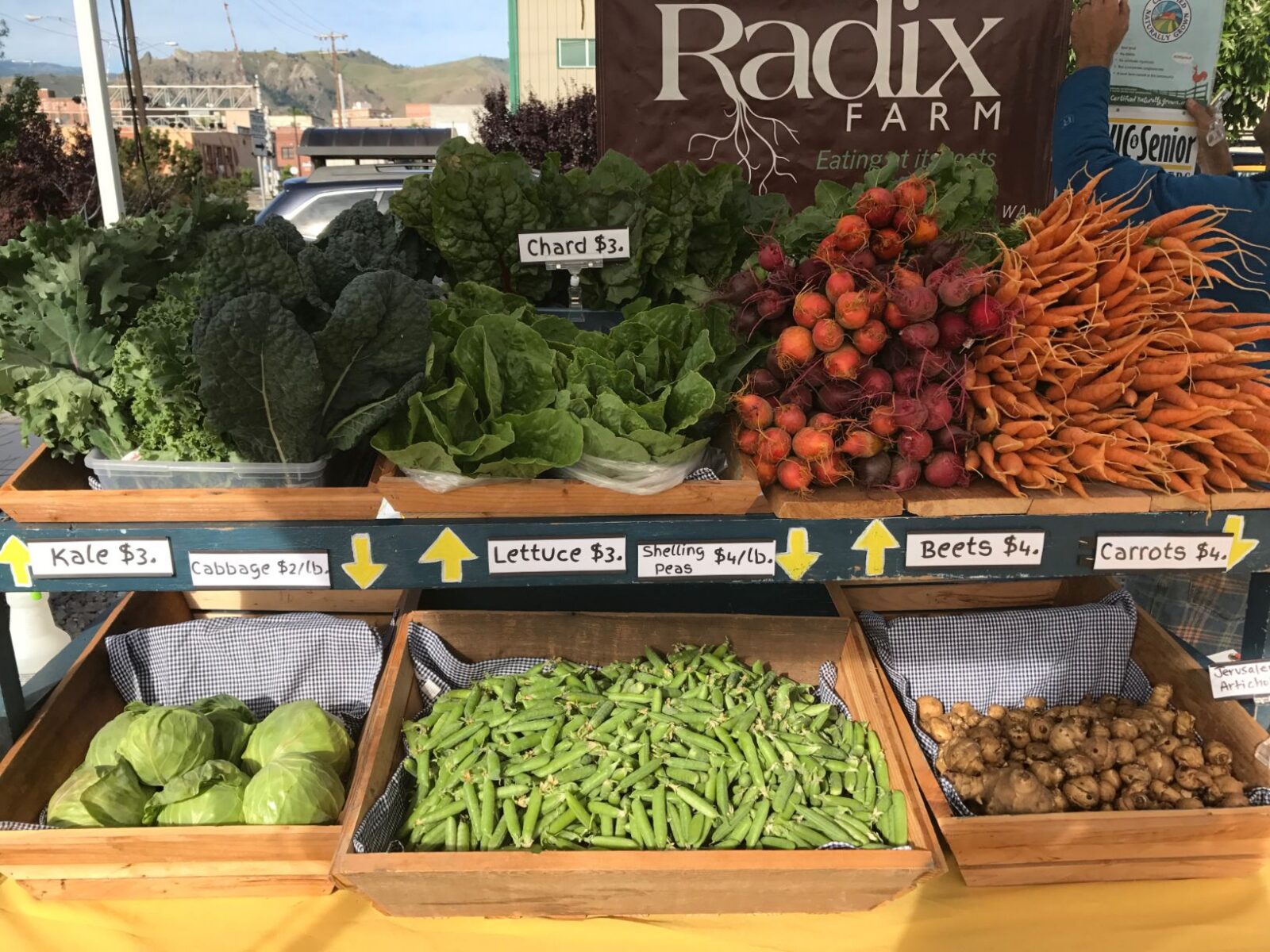 Radix Farm