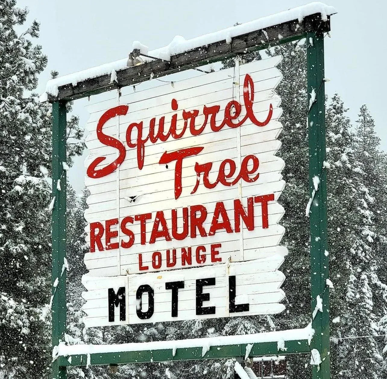 Squirrel Tree Restaurant & Bar Squirrel Tree Restaurant & Bar