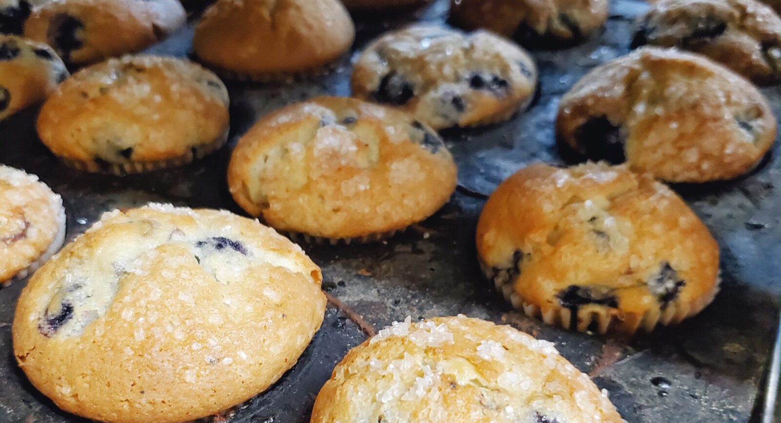 Sure To Rise Bakery Sure To Rise Bakery