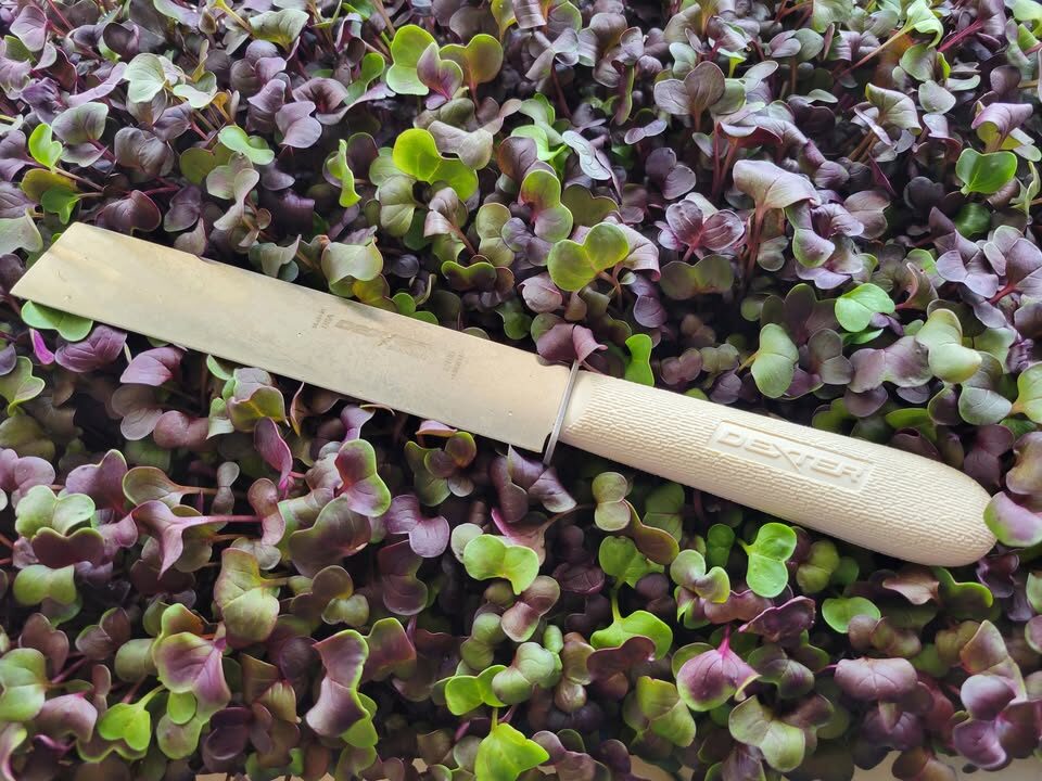 Wenatchee Microgreens Wenatchee Microgreens